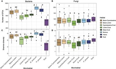 Interactions of Microhabitat and Time Control Grassland Bacterial and Fungal Composition